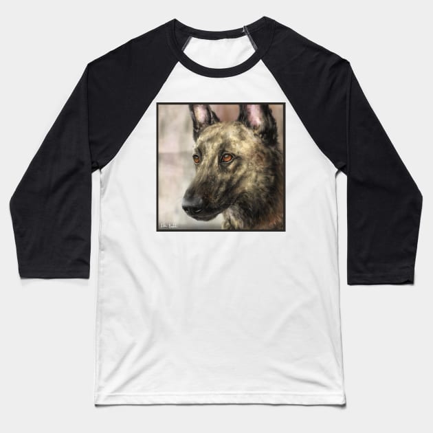 A Painting of a Brindled Dutch Shepherd Baseball T-Shirt by ibadishi